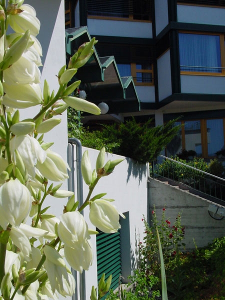 Altersheim Ruhesitz